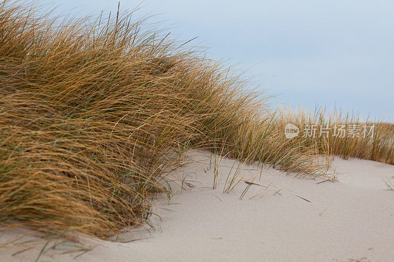 北海海岸/ Sylt -德国